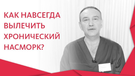 Галерея изображение №1