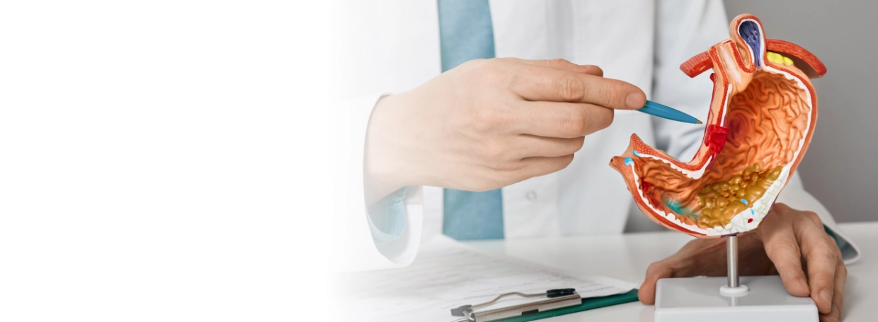 Гастроэнтерологический чек-ап по цене прошлого года